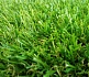 Искусственная трава в рулонах